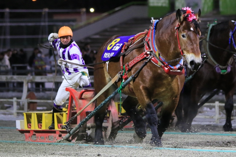 天馬賞・タカラキングダムと阿部武臣騎手 (C)ばんえい十勝