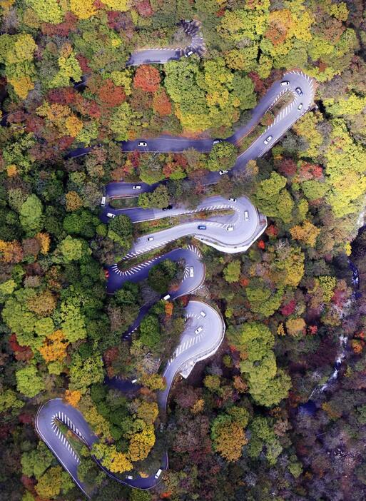 紅葉が見頃となったいろは坂＝2021年10月、栃木県日光市