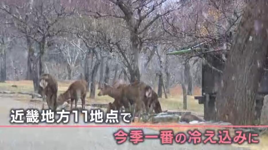 近畿11地点で今季一番の冷え込み