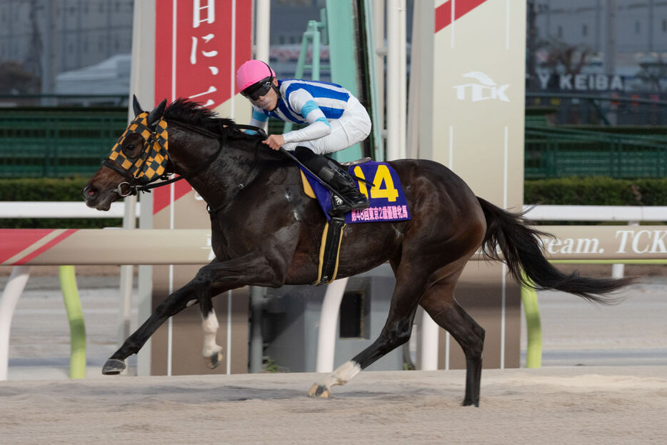 東京2歳優駿牝馬・プラウドフレールと張田昂騎手 (C)東京シティ競馬