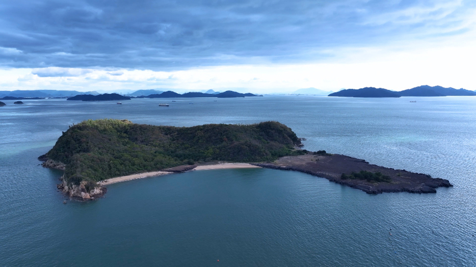 12日放送『飛んで見にいく謎の島』より（C）ABC