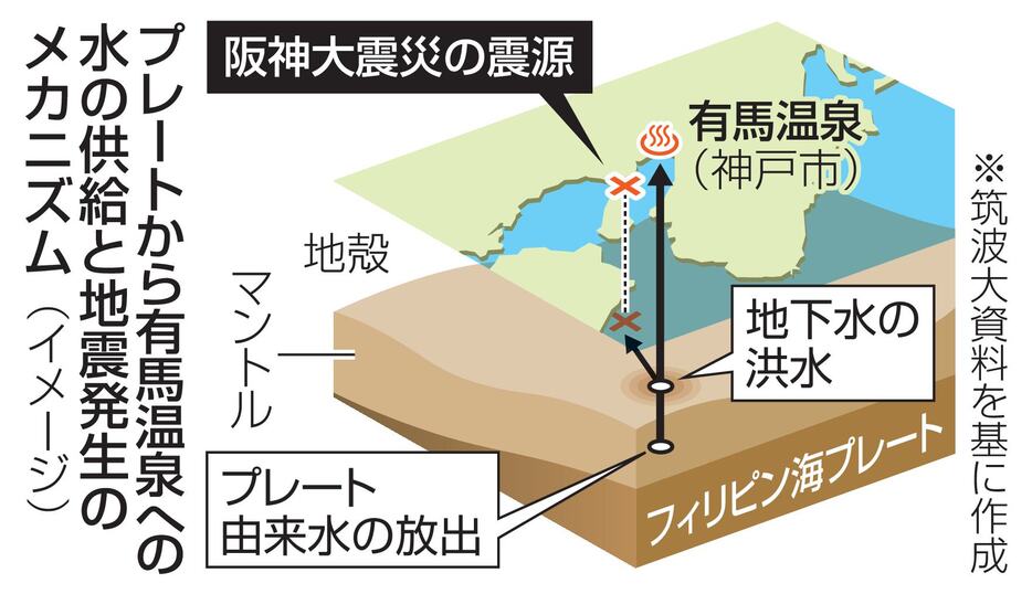 プレートから有馬温泉への水の供給と地震発生のメカニズム（イメージ）