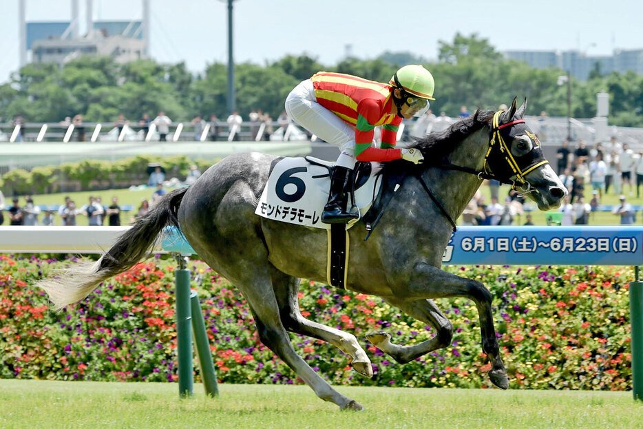 ジュニアＣに出走予定のモンドデラモーレ