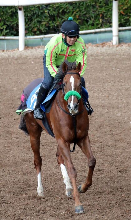 中京マイルは全て馬券圏内のシャドウフューリー