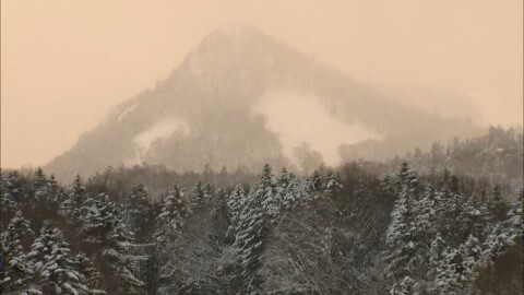 男性が行方不明になった現場