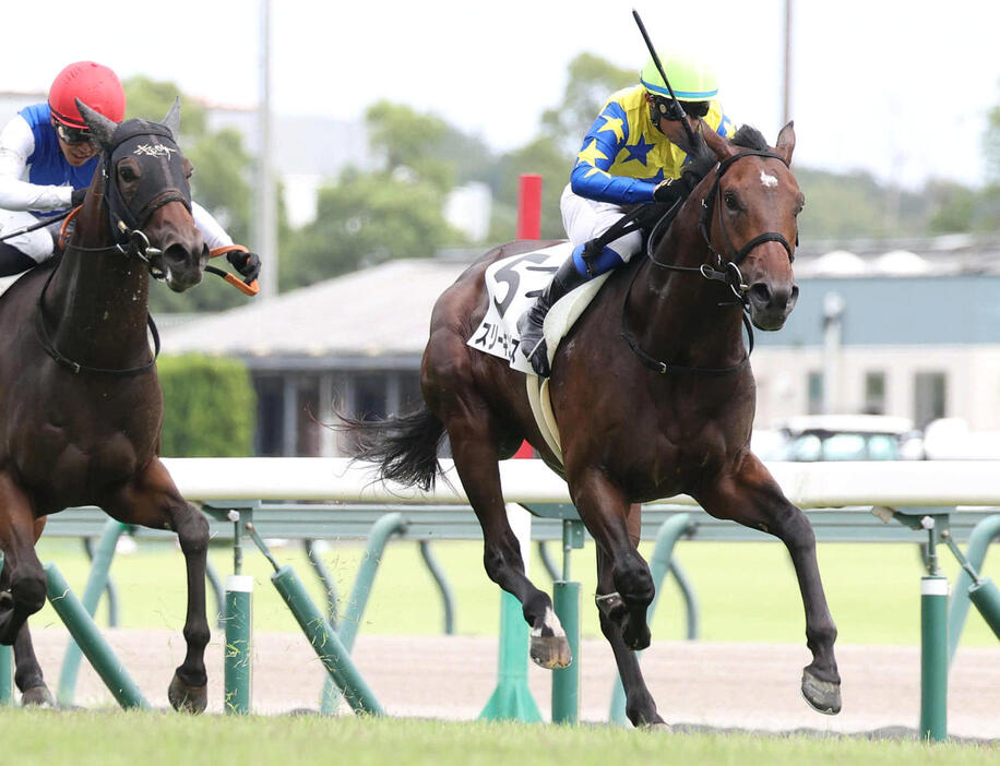 24年9月15日、中京5R新馬戦を制したスリーキングス