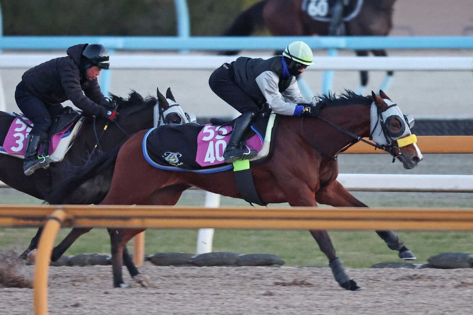 吉村誠之助騎手が騎乗し（レースは北村宏）、CWコース併せ馬に先着するモルティフレーバー（右）