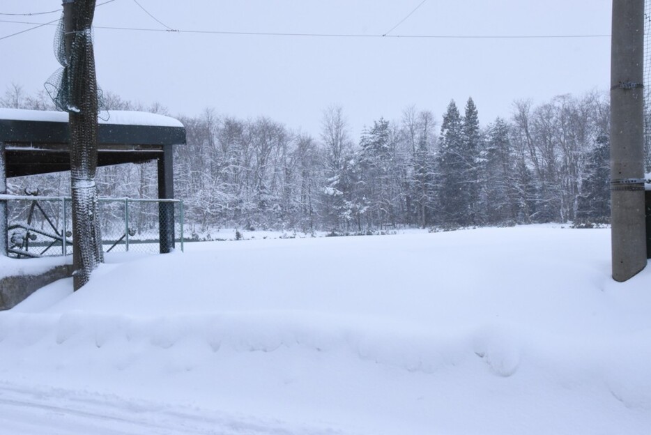 雪に覆われたグラウンド