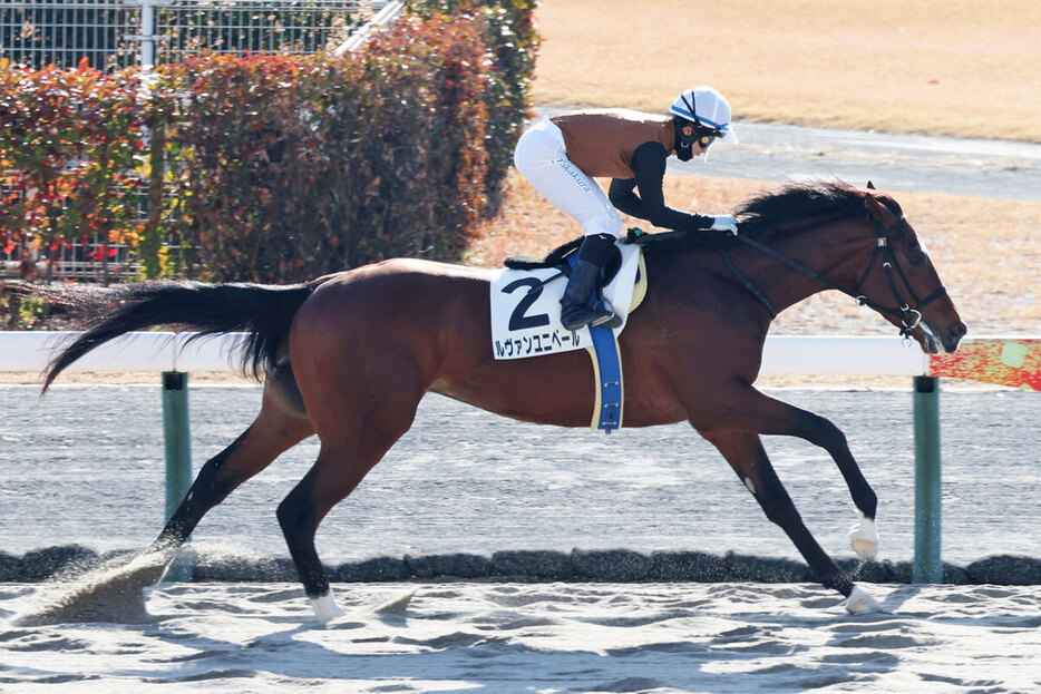 ２０２５年中央競馬最初のレースは高倉騎乗のルヴァンユニベールが快勝