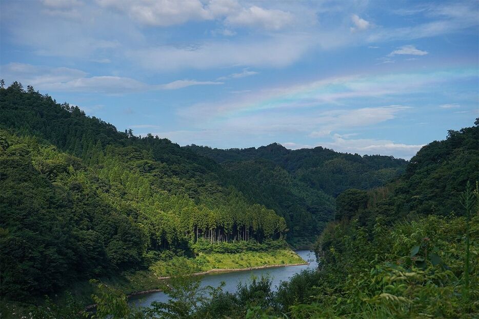 さくらおろち湖の上にかかる彩雲（2021年撮影：平藤喜久子）