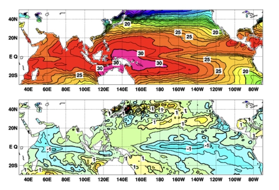 12月の海面水温図（上）と平年偏差図（下）（気象庁HPより）