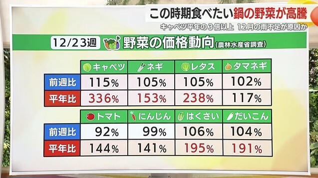 野菜の価格動向