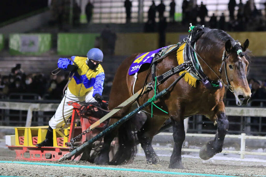 帯広記念を制したコウテイ（写真提供・ばんえい十勝）