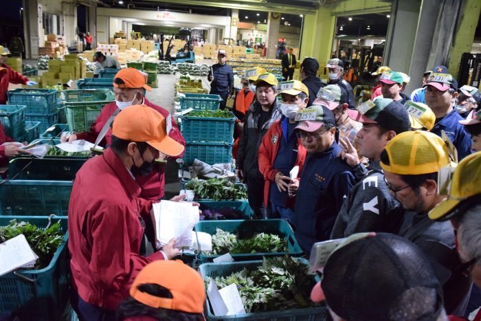 初競りで、野菜を競り落としていく仲買人ら（右）＝5日早朝、浦添市の県中央卸売市場