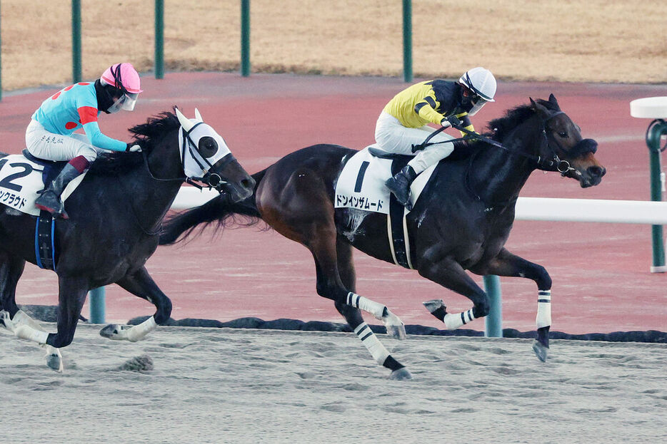 松山弘平騎手騎乗のドンインザムード（右）がゴールデンクラウドの追い込みを鼻差しのぐ（カメラ・高橋　由二）