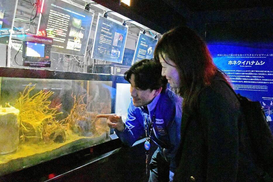 えのすいスタッフが展示を案内する「深海探検ツアー」のイメージ（新江ノ島水族館提供）