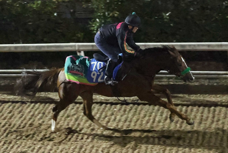 ＜京都金杯＞坂路で追い切るシャドウフューリー（撮影・亀井　直樹）