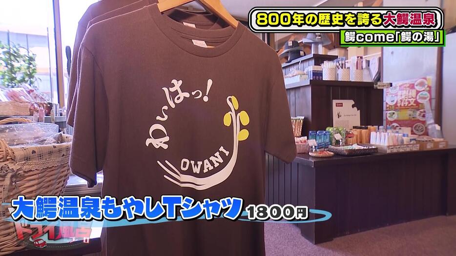 タマ伸也さんが気になった「大鰐温泉もやしTシャツ」（1800円）