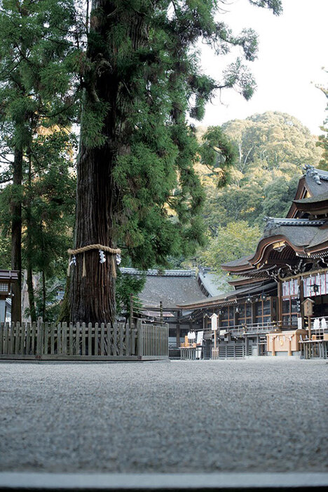 大神神社（奈良県桜井市）