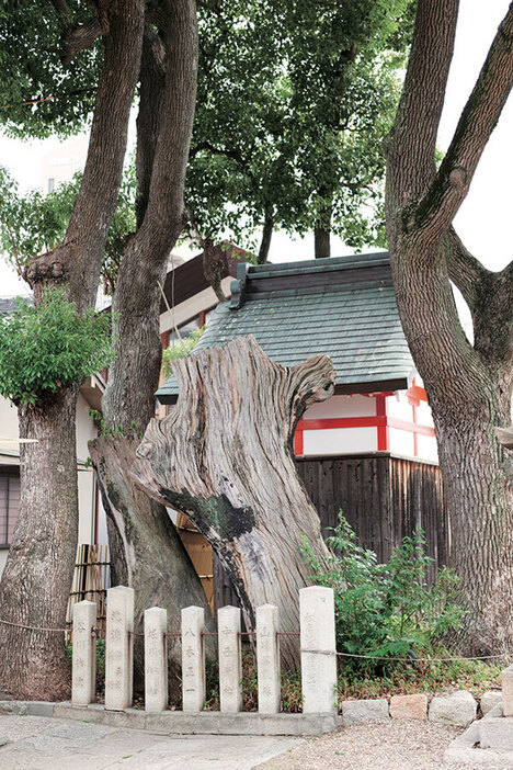 姫嶋神社（大阪市西淀川区）