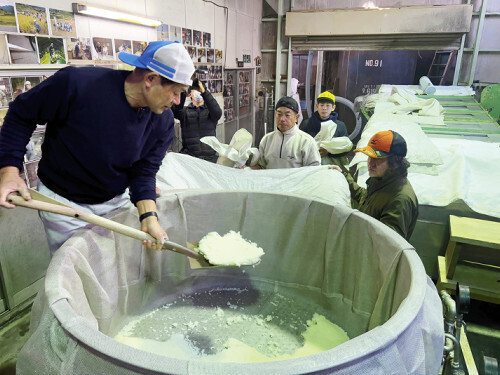 蒸した瑞豊を移す蔵人ら（宮崎県延岡市の千徳酒造で）