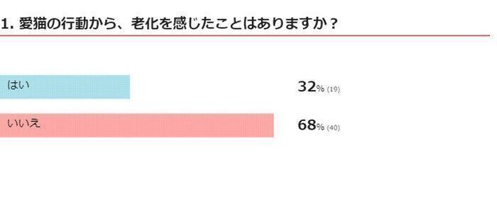 ※2024年7月実施「ねこのきもちアプリ」内アンケート調査（回答者数　59人）