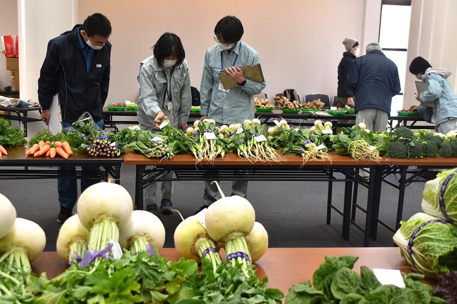 出品された農産物を細かくチェックする審査員＝９日、葉山町堀内の町福祉文化会館