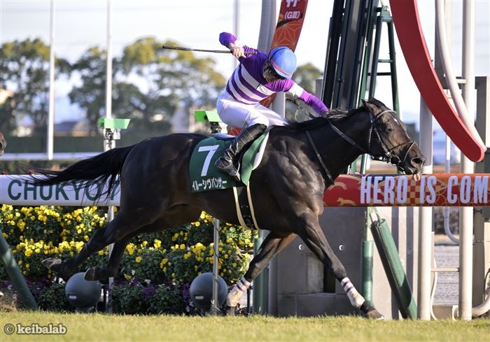 中京開催の23年京都金杯を勝ったイルーシヴパンサー