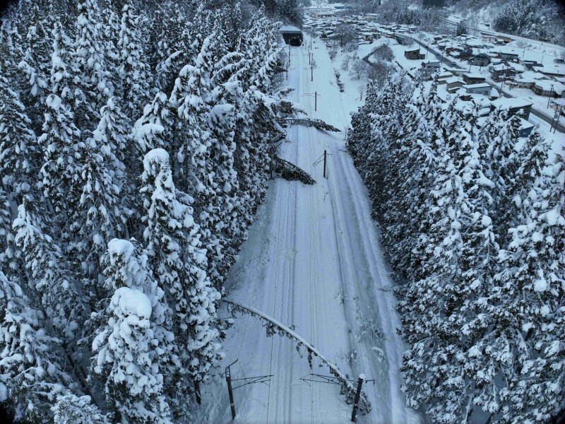 青森県平川市の奥羽線津軽湯の沢－碇ケ関駅間の線路。雪による倒木が確認された＝2025年1月5日撮影（JR東日本秋田支社提供）