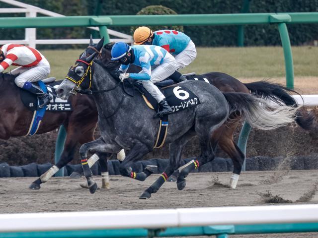 中山新春ジャンプSを制したフェーレンベルク(撮影：下野雄規)