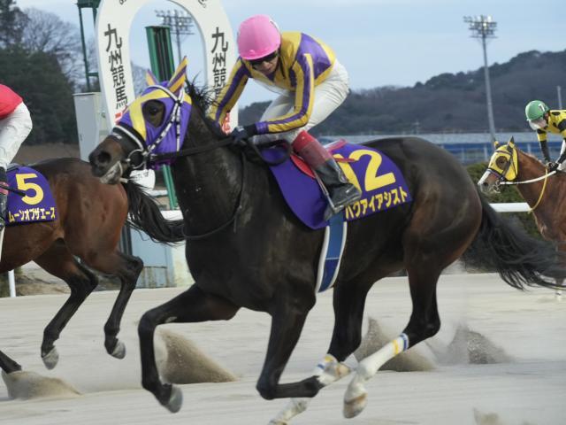 レースが行われた佐賀競馬場(c)netkeiba