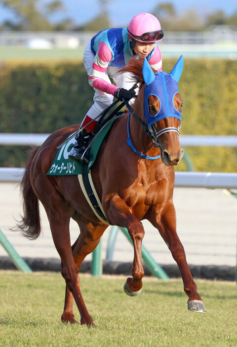 田辺裕信騎手騎乗のウォーターリヒト。　（カメラ・高橋　由二）