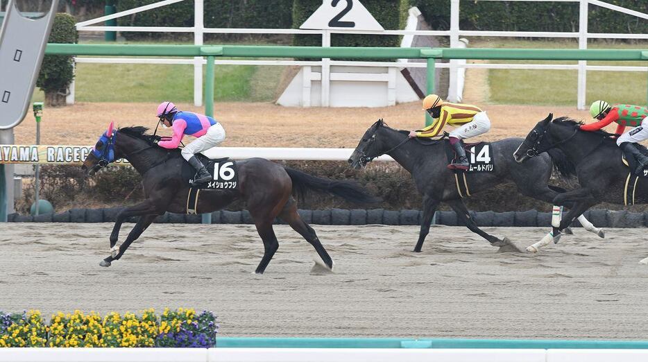 中山9R・初茜賞　1年7カ月ぶりのレースで1着となったメイショウフジ（左）＝6日、中山競馬場（撮影・菅原和彦）