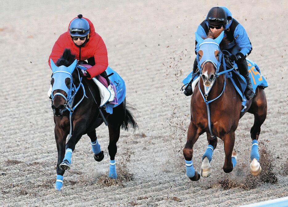 松岡騎手を背にウッドチップコースでスズカルビコンと併せて追われるミーントゥビー（左）