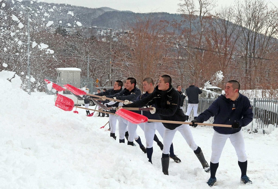 練習中に雪かきする東海大札幌ナイン