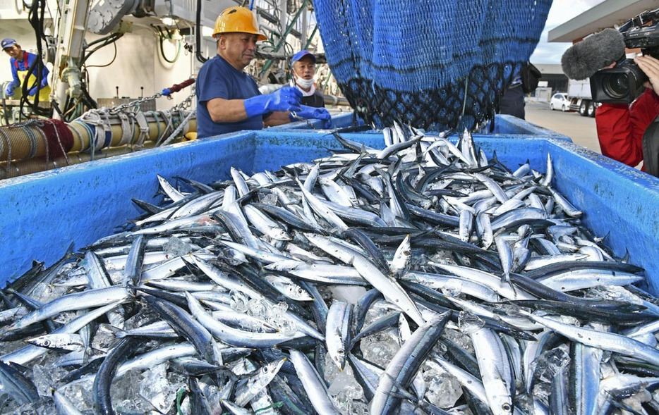 サンマの水揚げ＝2023年10月、福島県いわき市の小名浜港