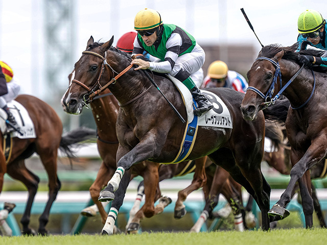 重賞初制覇を目指すレーヴブリリアント(撮影：下野雄規)