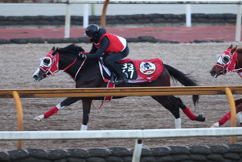 3日、Cウッドで併せ馬に先着するタイセイカレント