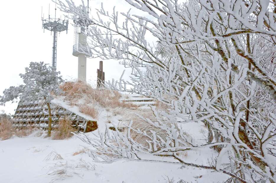 雪が積もり、銀世界が広がる紫尾山頂＝９日、さつま町（同町の許可を得て撮影）