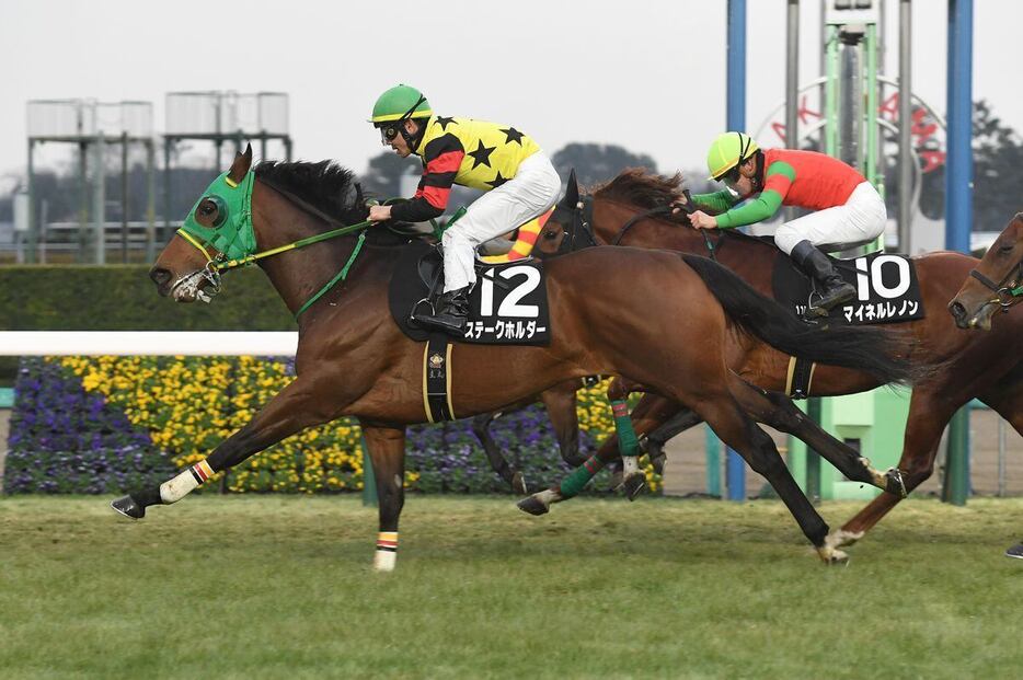 サンライズSを制したステークホルダー＝6日、中山競馬場（撮影・菅原和彦）