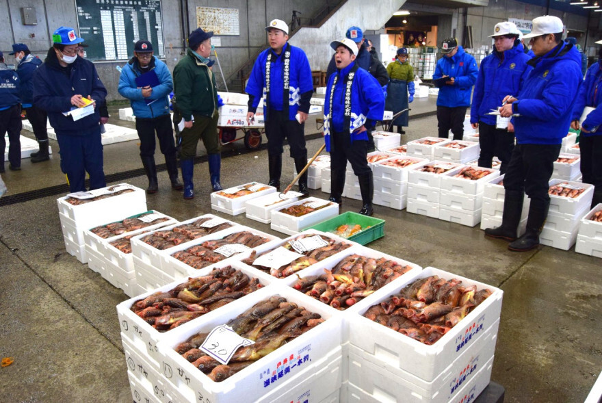 競り人の威勢のいい掛け声で競り落とされる魚（水産市場）