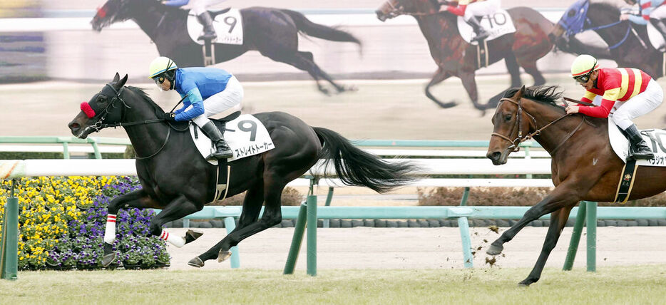 デビュー戦を勝利で飾ったストレイトトーカー（左）（カメラ・荒牧　徹）