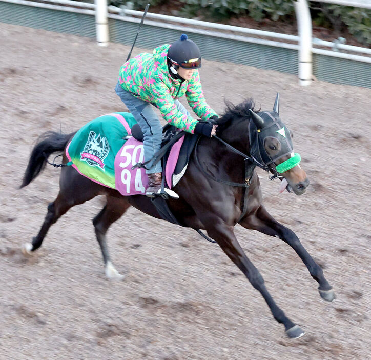 坂路を単走で追い切るエリカエクスプレス