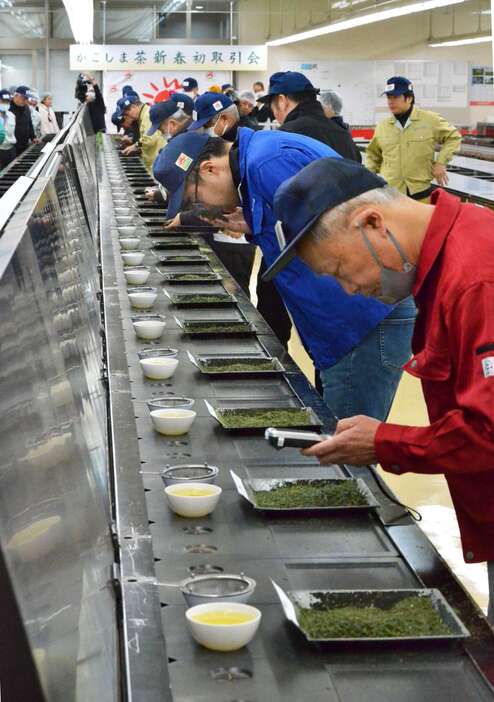 茶葉の香りや手触りなどを確認する茶商ら＝７日、鹿児島市の県茶市場