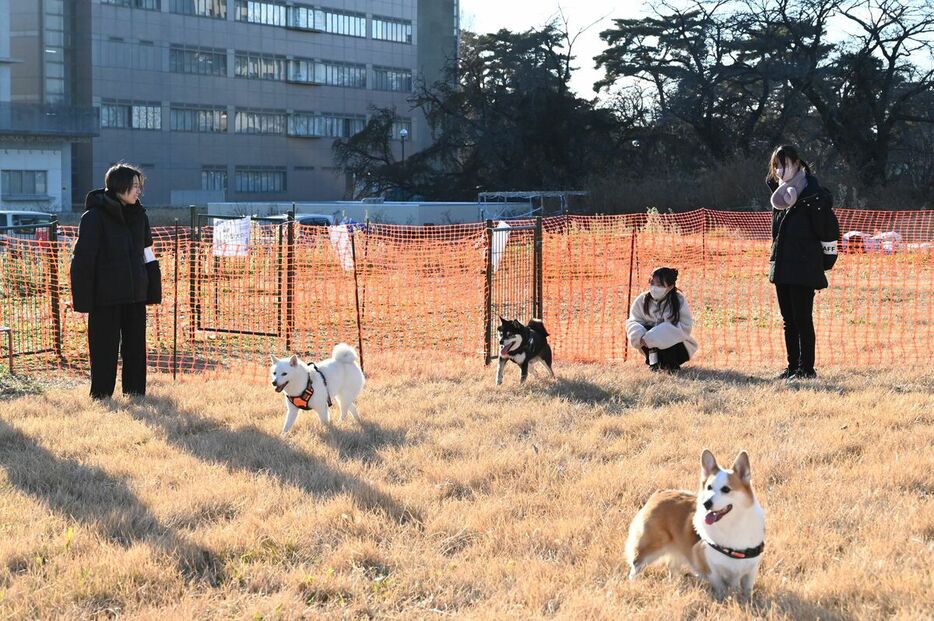 １日限定で設けられたドッグラン。地域づくりのきっかけを目指している＝２０２４年12月中旬、宇都宮市陽東７丁目（山崎さん提供）