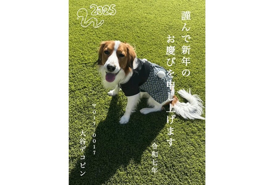 インスタグラムに投稿された愛犬のデコピン（スクリーンショット）