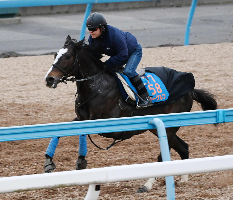 美浦ウッドで追い切るラーグルフ（撮影・柴田隆二）