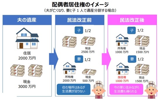 ［図表5］配偶者居住権のイメージ 出典：法務局