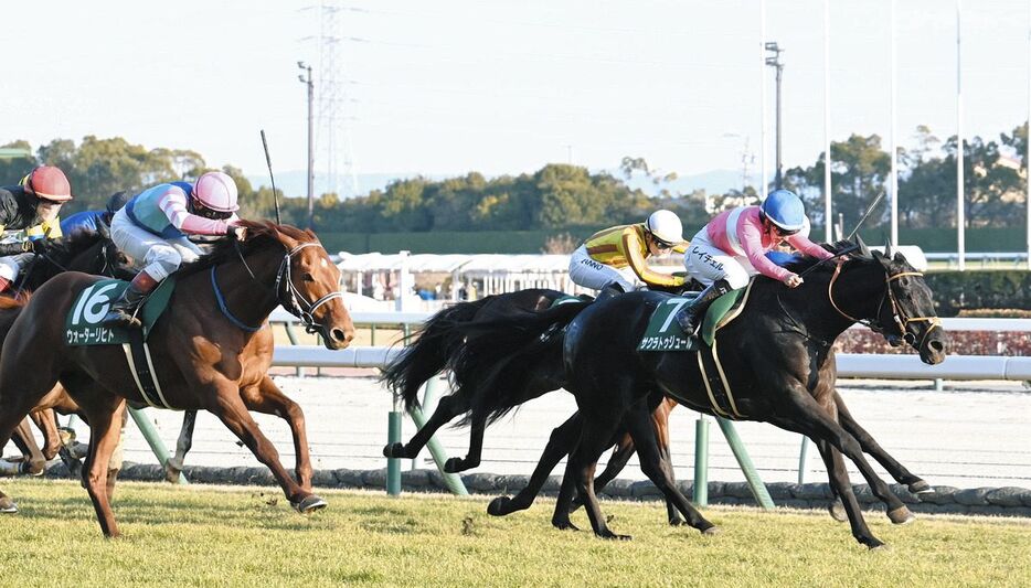 京都金杯を制したサクラトゥジュール（右）