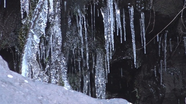 銚子渓　香川・土庄町　午前8時頃